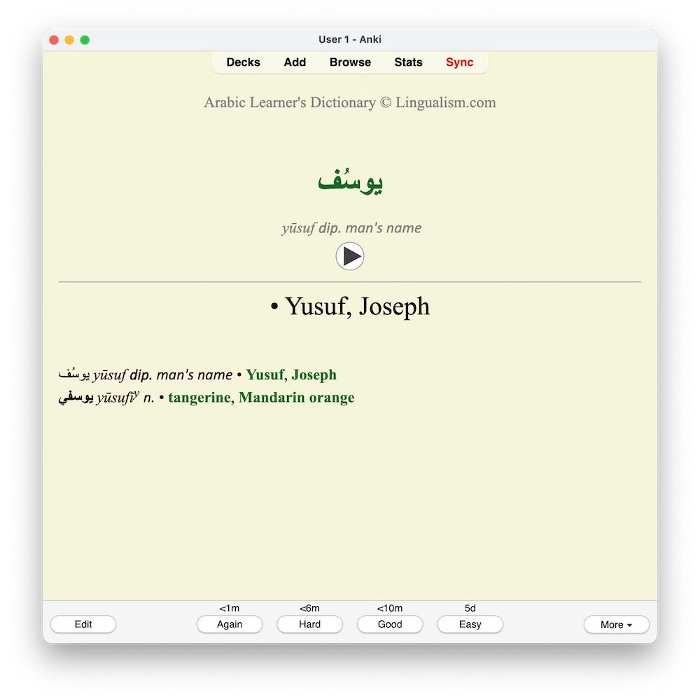 Arabic Learners Dictionary-Anki-preview-8