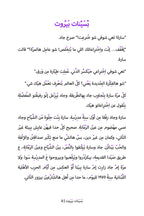 The Cats of Beirut (Lebanese)