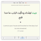 Levantine Arabic Verbs-Anki-preview-2