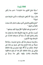 The Cats of Beirut (MSA)