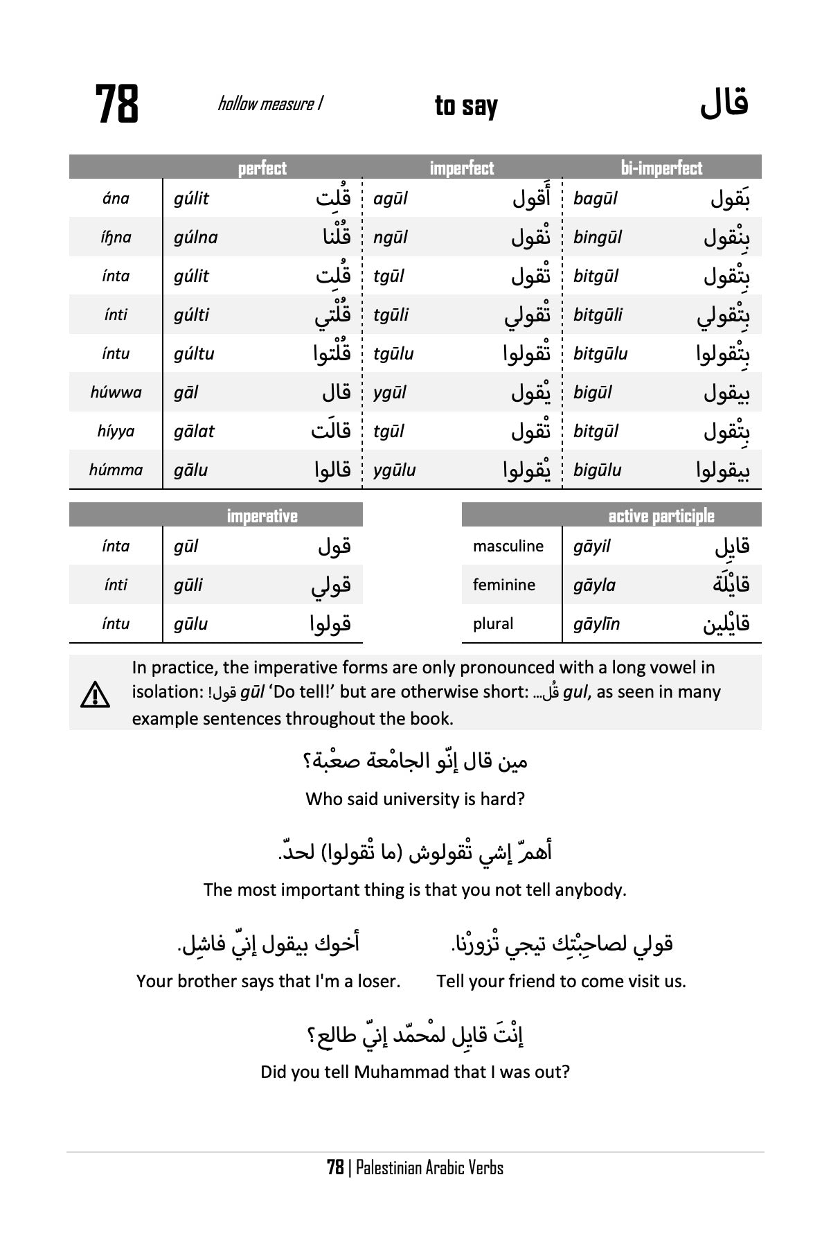 Palestinian Arabic Verbs