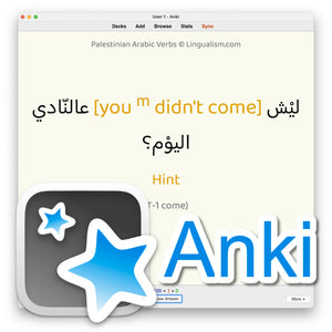 Palestinian Arabic Verbs: Anki Flashcards
