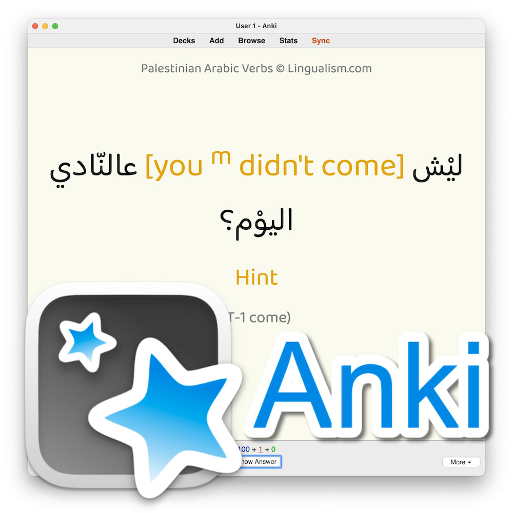 Palestinian Arabic Verbs: Anki Flashcards