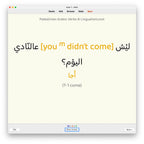 Palestinian Arabic Verbs-Anki-preview-1