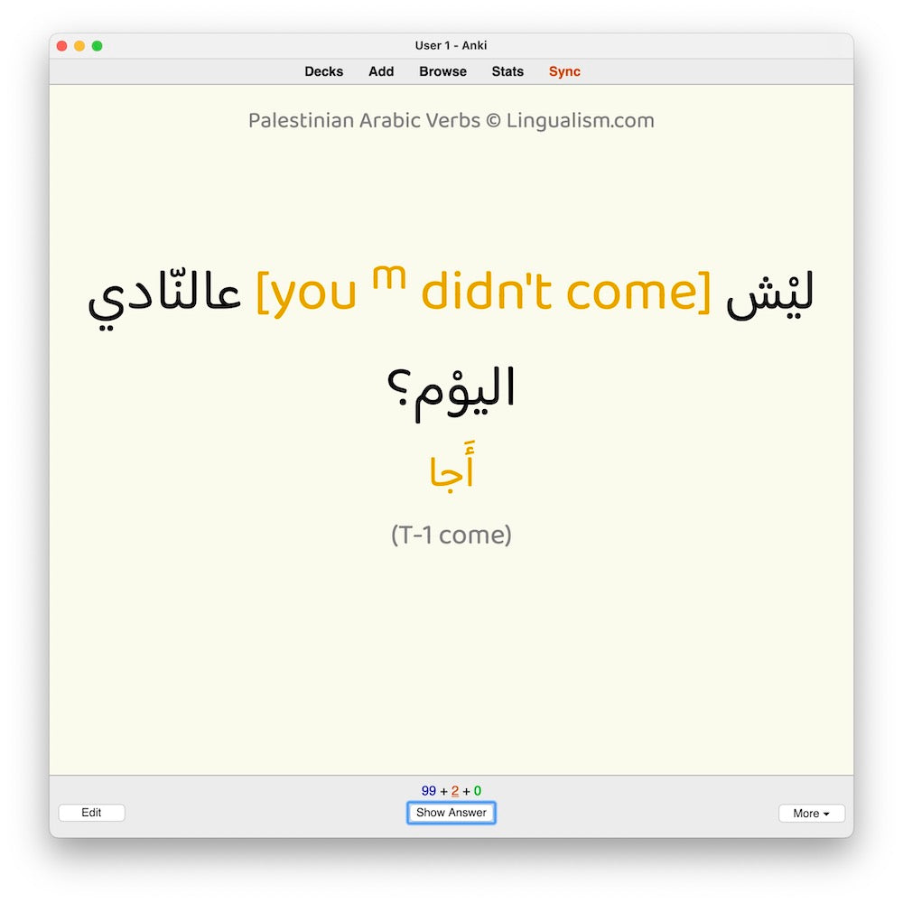 Palestinian Arabic Verbs-Anki-preview-1