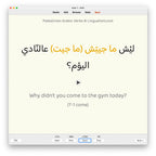 Palestinian Arabic Verbs-Anki-preview-2