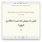 Palestinian Arabic Verbs-Anki-preview-4