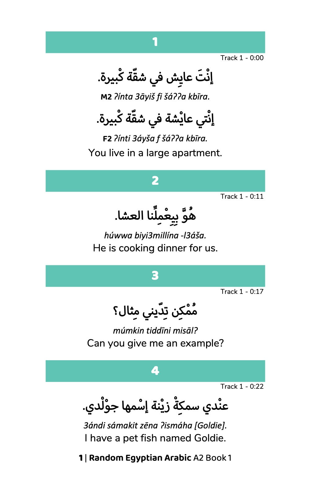 Random Egyptian Arabic A2 (Book 1)