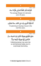 Random Egyptian Arabic B2 (Book 2)