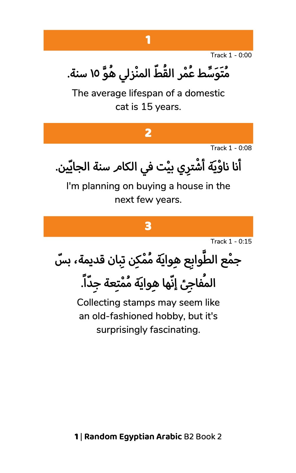 Random Egyptian Arabic B2 (Book 2)