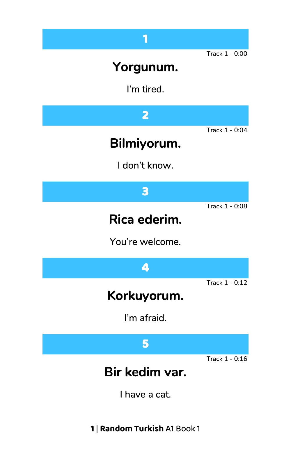 Random Turkish A1 (Book 1)-preview-1