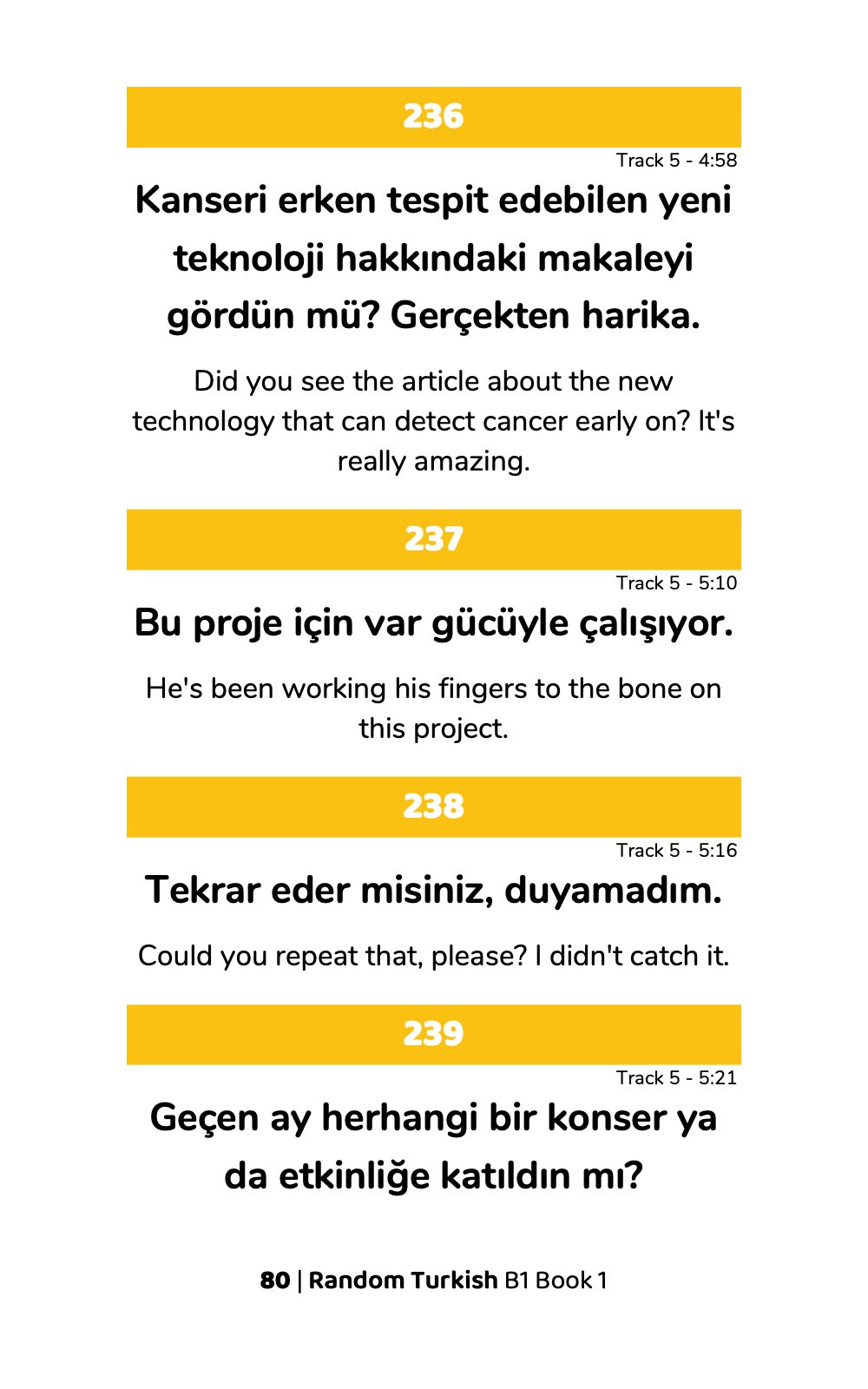 Random Turkish B1 (Book 1)-preview-3