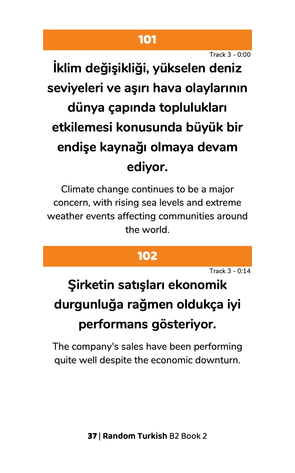 Random Turkish B2 (Book 2)-preview-2