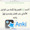 Big Fat Book of Egyptian Arabic Verbs: Anki Flashcards