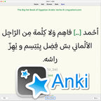 Big Fat Book of Egyptian Arabic Verbs: Anki Flashcards