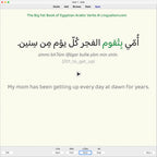 Big Fat Book of Egyptian Arabic Verbs: Anki Flashcards