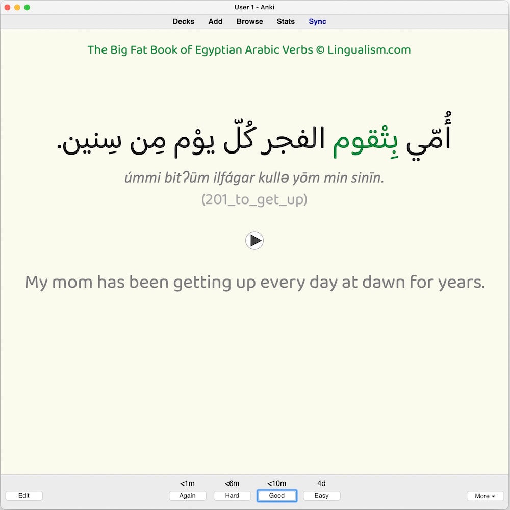 Big Fat Book of Egyptian Arabic Verbs: Anki Flashcards