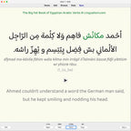 Big Fat Book of Egyptian Arabic Verbs: Anki Flashcards