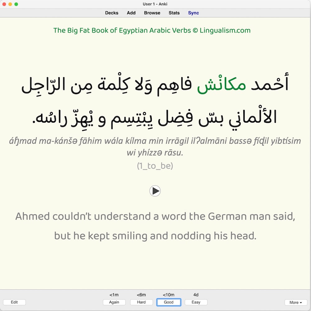 Big Fat Book of Egyptian Arabic Verbs: Anki Flashcards