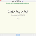 Big Fat Book of Egyptian Arabic Verbs: Anki Flashcards