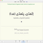 Big Fat Book of Egyptian Arabic Verbs: Anki Flashcards