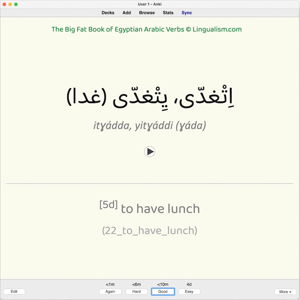 Big Fat Book of Egyptian Arabic Verbs: Anki Flashcards