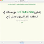 Big Fat Book of Egyptian Arabic Verbs: Anki Flashcards