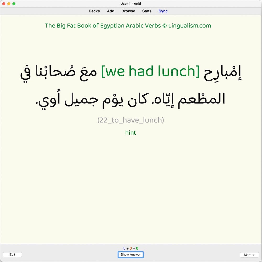 Big Fat Book of Egyptian Arabic Verbs: Anki Flashcards