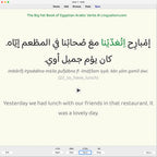 Big Fat Book of Egyptian Arabic Verbs: Anki Flashcards