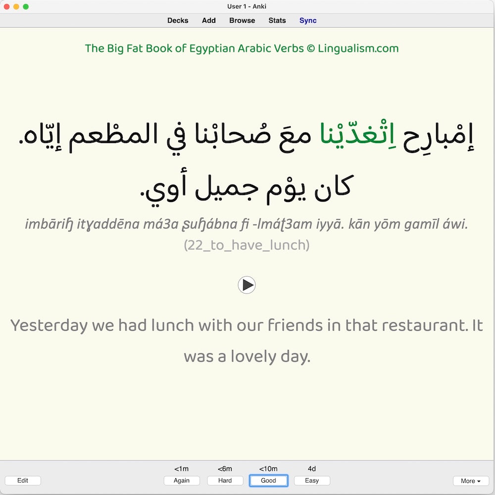 Big Fat Book of Egyptian Arabic Verbs: Anki Flashcards