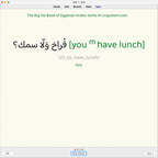 Big Fat Book of Egyptian Arabic Verbs: Anki Flashcards