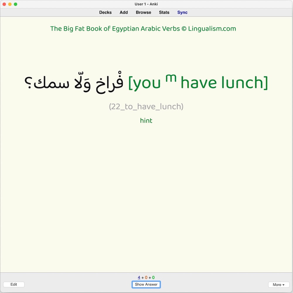 Big Fat Book of Egyptian Arabic Verbs: Anki Flashcards