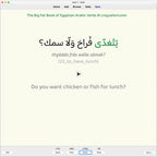 Big Fat Book of Egyptian Arabic Verbs: Anki Flashcards