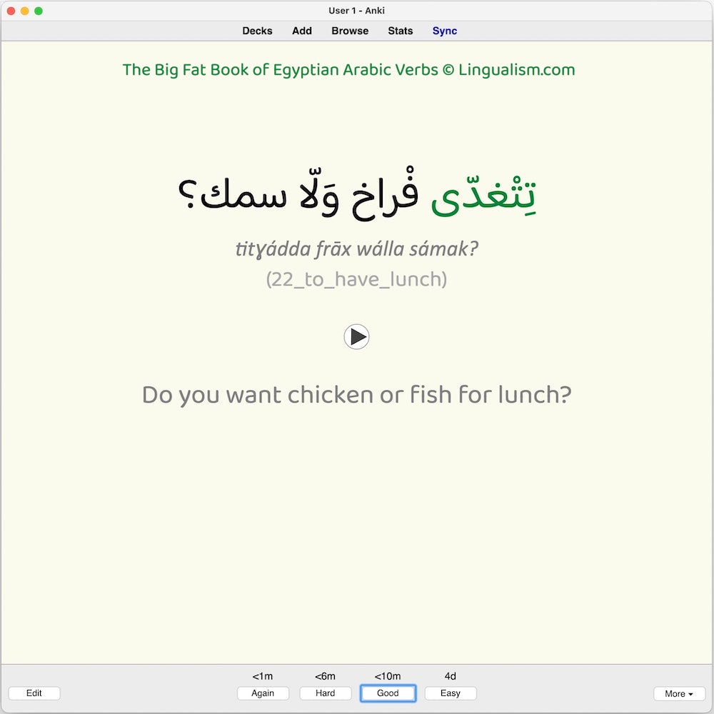 Big Fat Book of Egyptian Arabic Verbs: Anki Flashcards