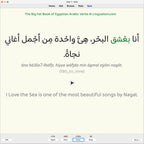 Big Fat Book of Egyptian Arabic Verbs: Anki Flashcards