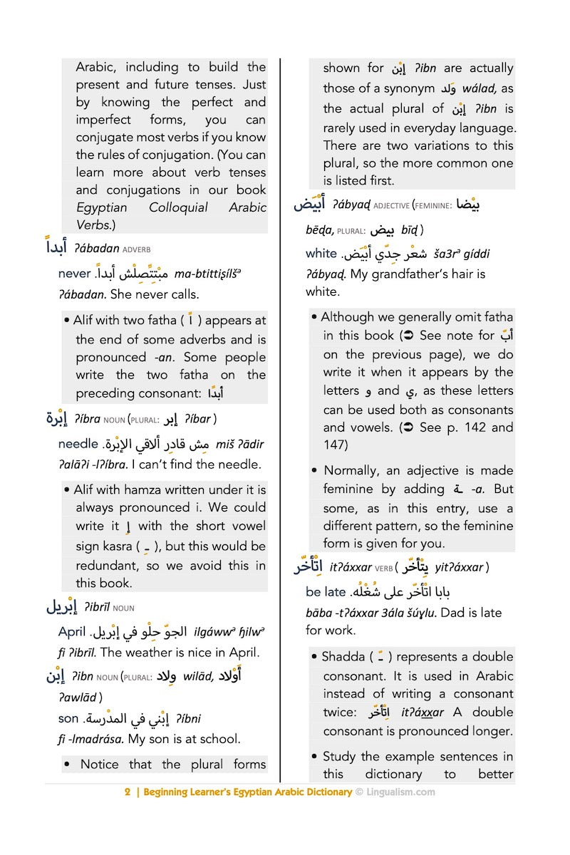 Beginning Learner's Egyptian Arabic Dictionary