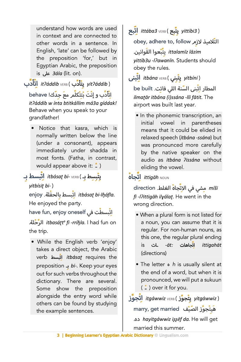 Beginning Learner's Egyptian Arabic Dictionary