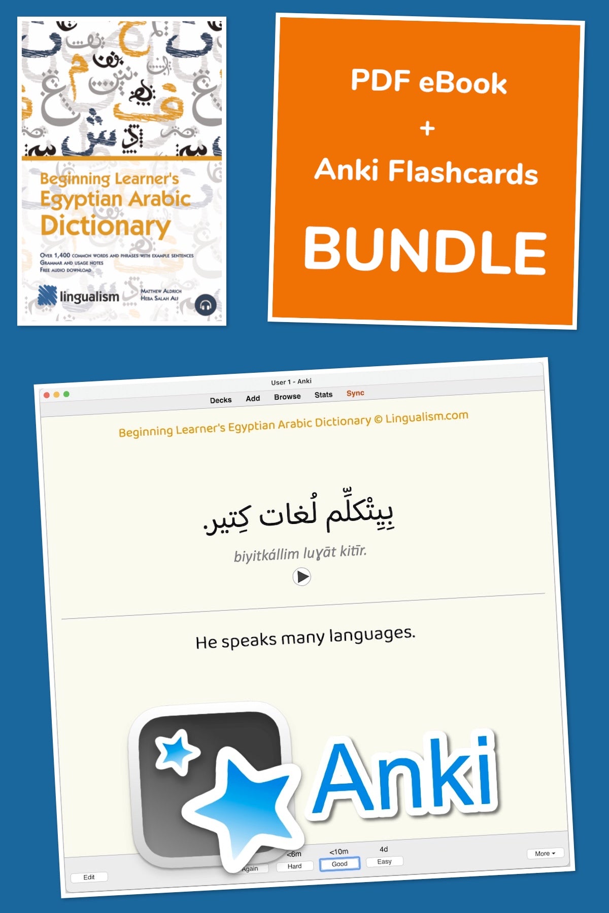 Beginning Learner's Egyptian Arabic Dictionary