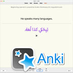 Beginning Learner's Levantine Arabic Dictionary: Anki Flashcards