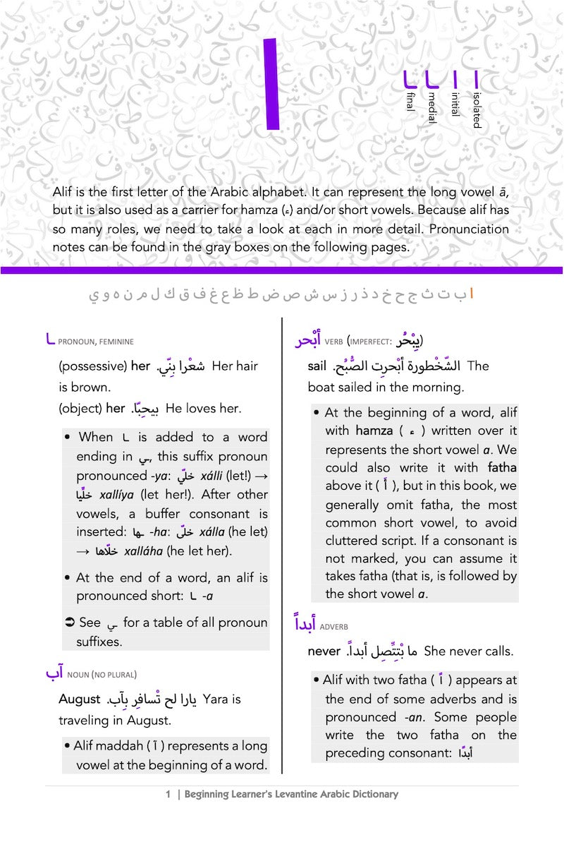 Beginning Learner's Levantine Arabic Dictionary