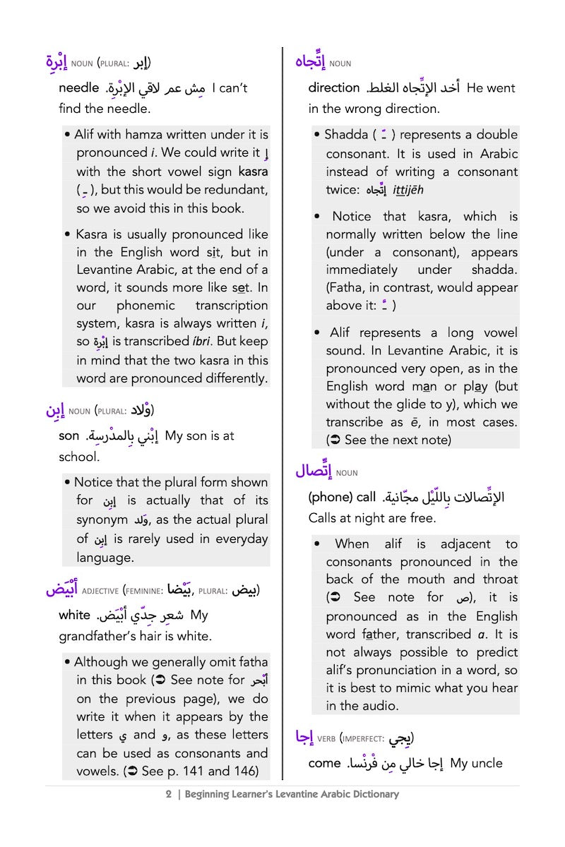 Beginning Learner's Levantine Arabic Dictionary