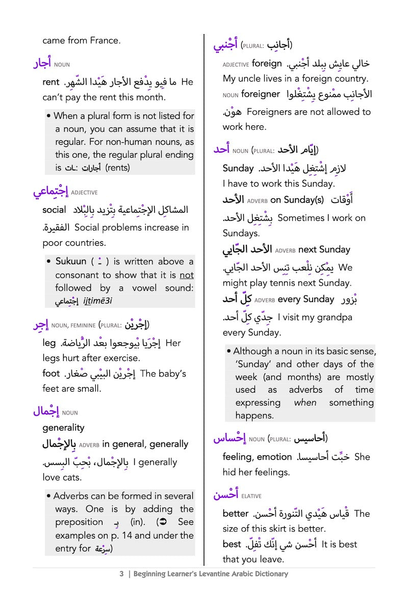 Beginning Learner's Levantine Arabic Dictionary