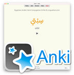Egyptian Arabic Verb Conjugation Drills: Anki Flashcards (Set 2)