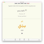 Egyptian Arabic Verb Conjugation Drills: Anki Flashcards (Set 2)