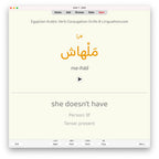 Egyptian Arabic Verb Conjugation Drills: Anki Flashcards (Set 2)