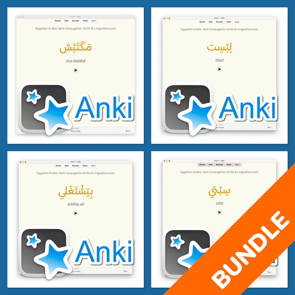 Egyptian Arabic Verb Conjugation Drills Bundle