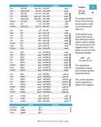 Egyptian Colloquial Arabic Verbs