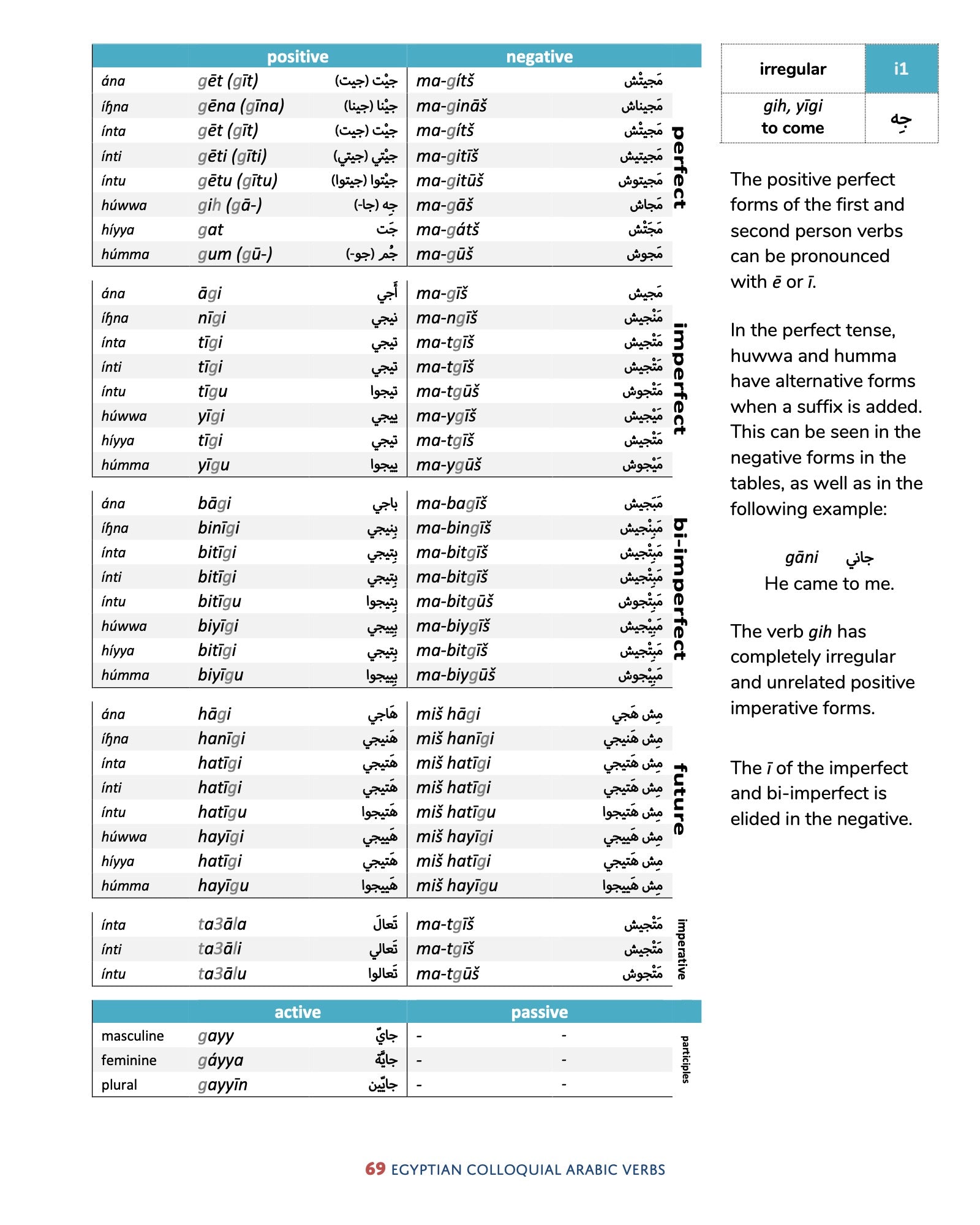 Egyptian Colloquial Arabic Verbs