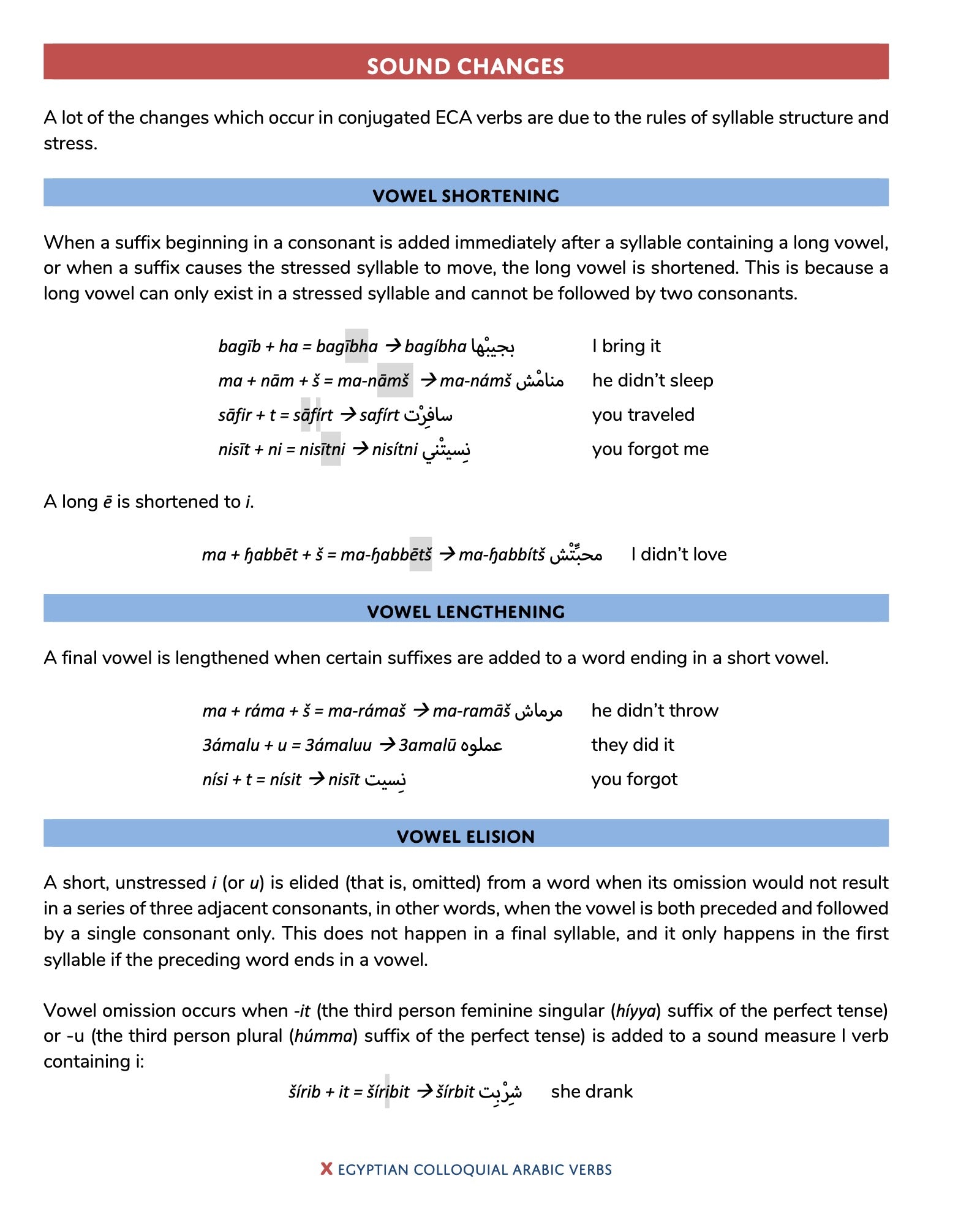 Egyptian Colloquial Arabic Verbs