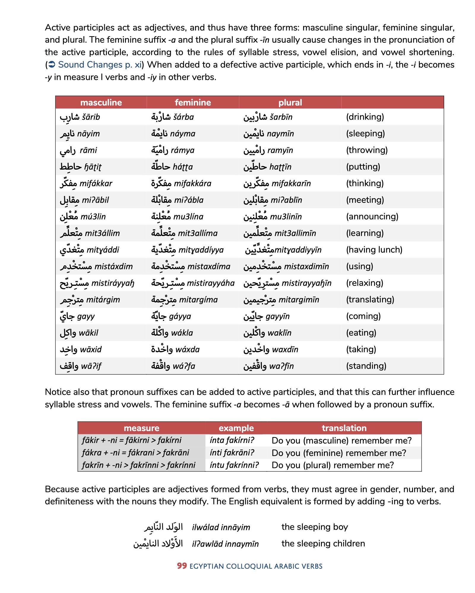 Egyptian Colloquial Arabic Verbs